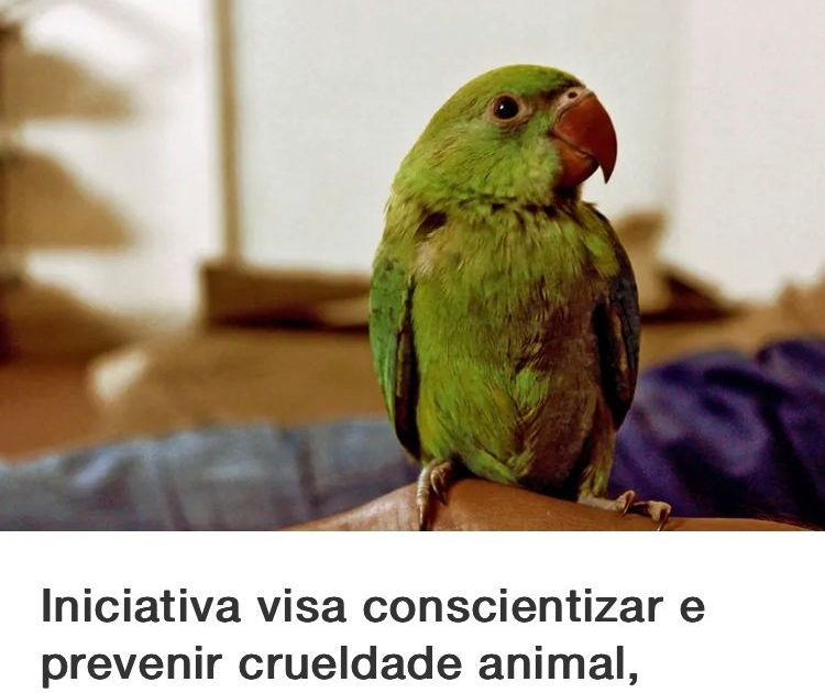 Lei institui campanha “Abril Laranja” contra maus-tratos a animais no Rio de Janeiro