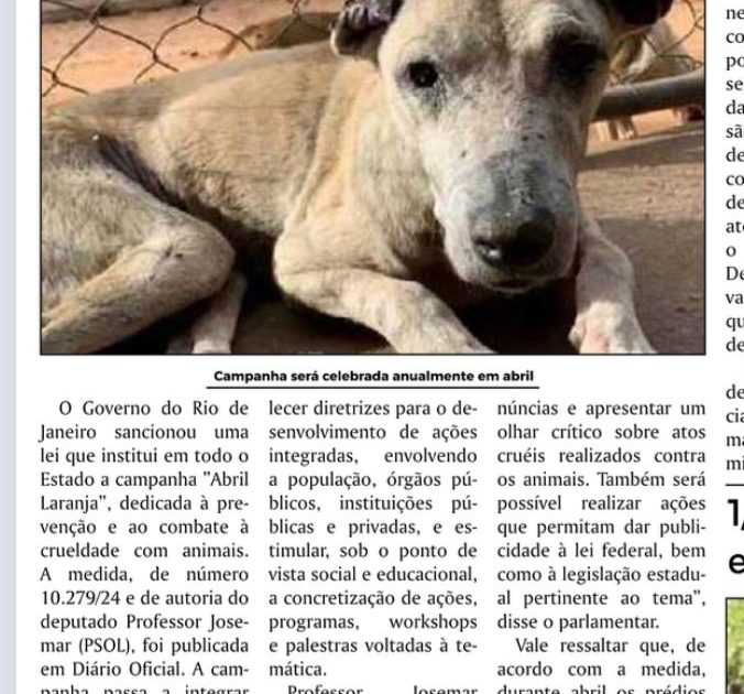 Rio de Janeiro passa a ter campanha de combate à crueldade a animais