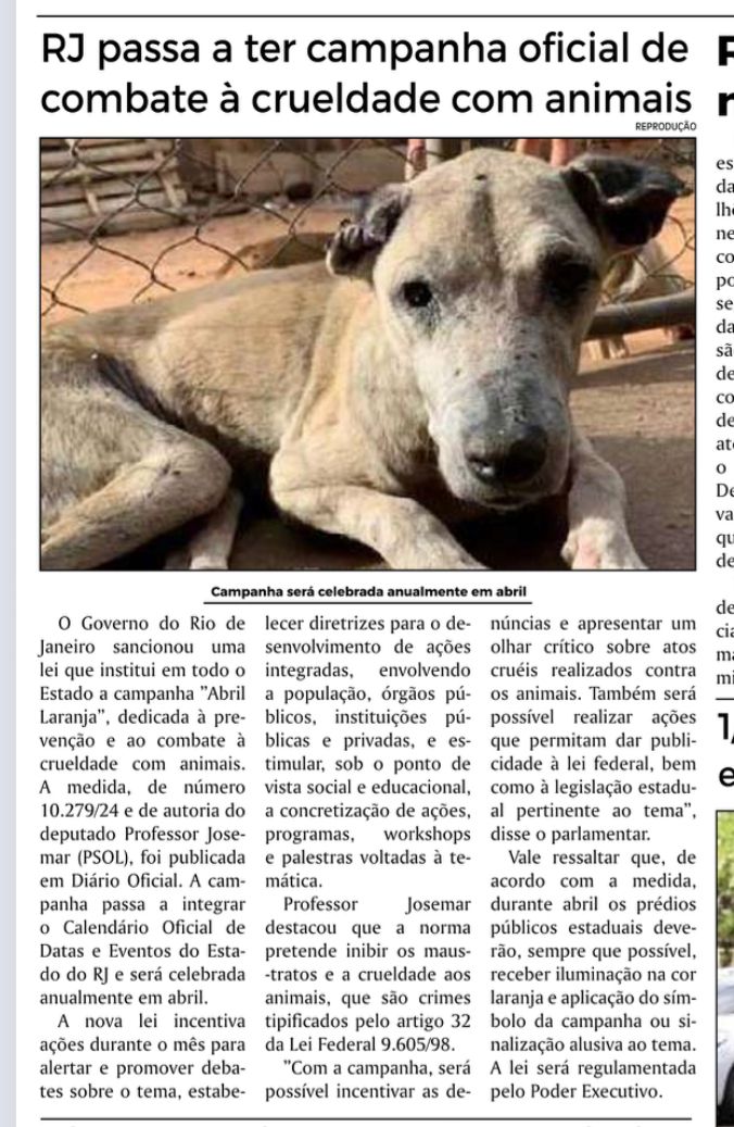 Rio de Janeiro passa a ter campanha de combate à crueldade a animais