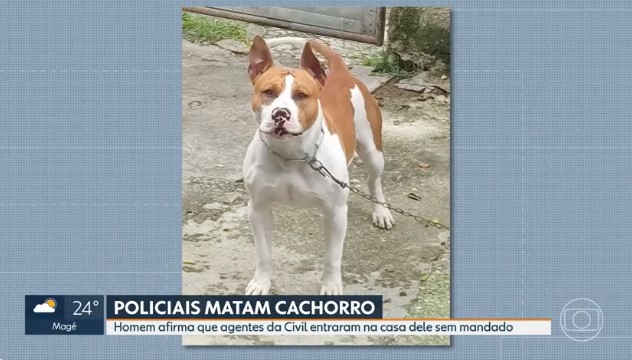 Família acusa policiais civis de matar cachorro…