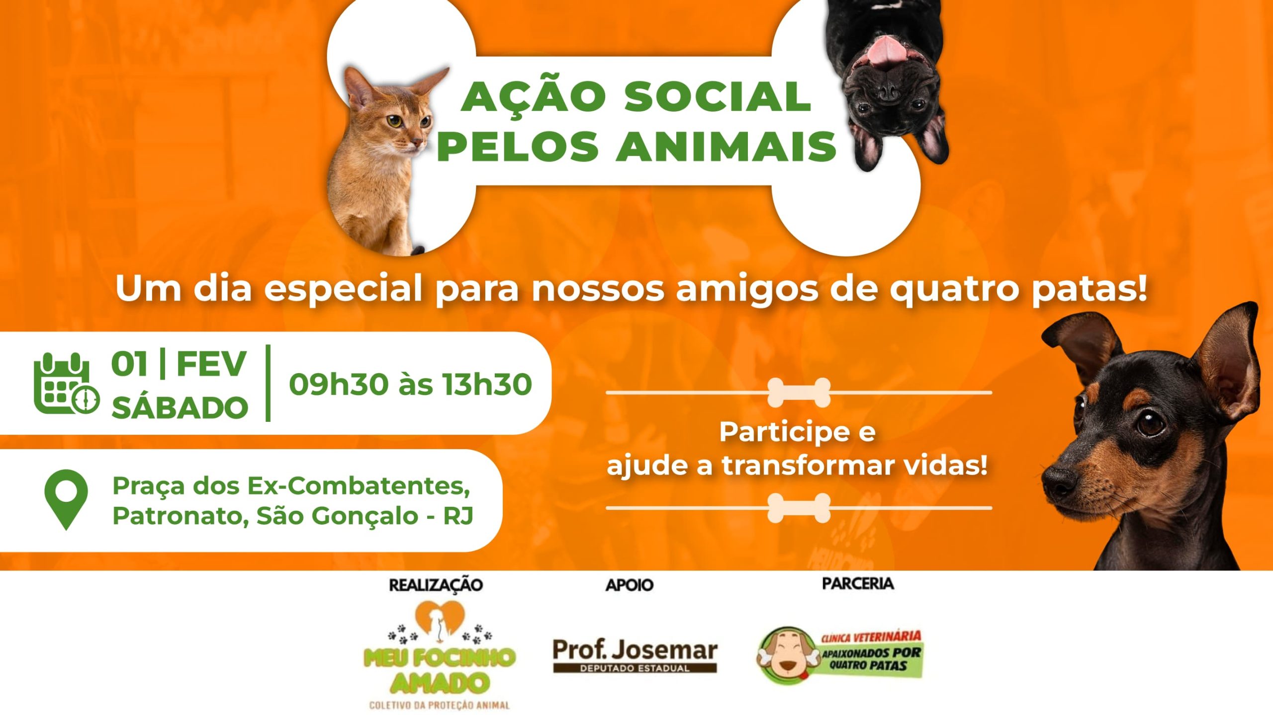 SÁBADO que vem, dia 1º fevereiro: Ação pelos animais em São Gonçalo