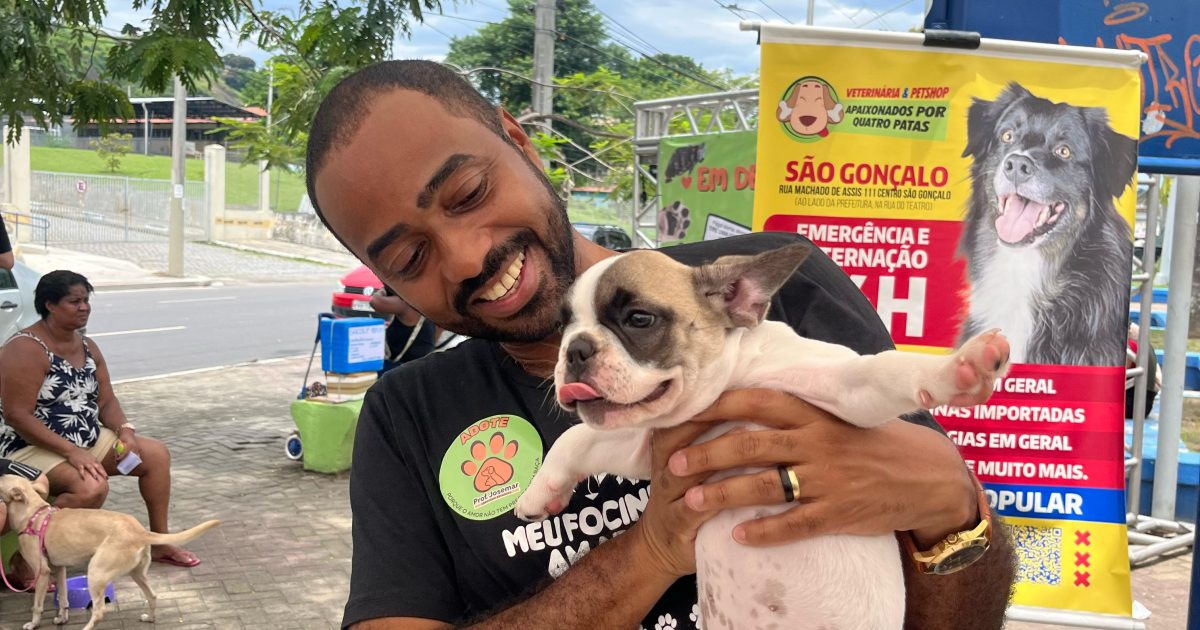 No Abril Laranja saiba como denunciar os casos de maus-tratos contra cães e gatos no Rio de Janeiro