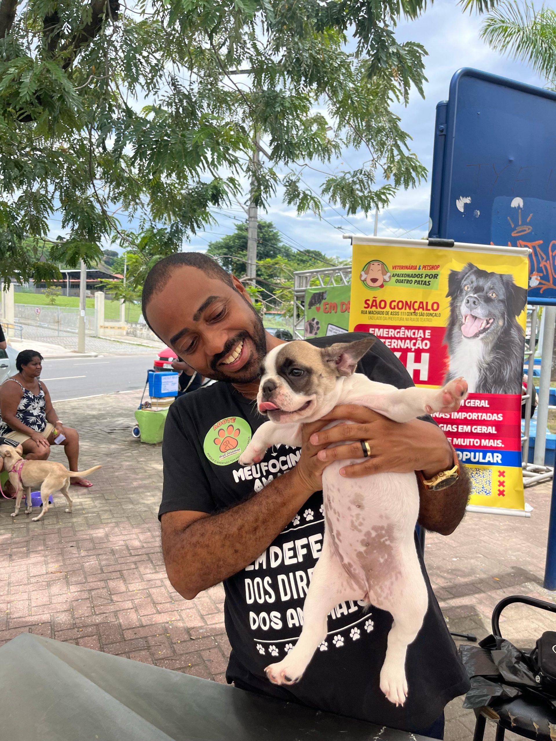 No Abril Laranja saiba como denunciar os casos de maus-tratos contra cães e gatos no Rio de Janeiro