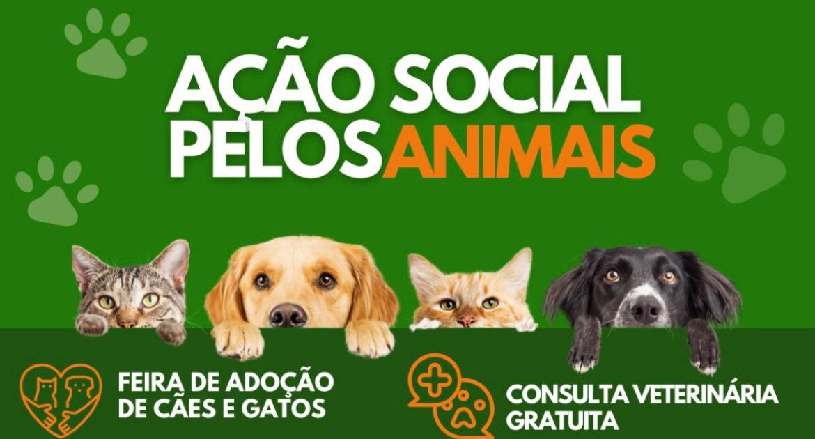 Evento em São Gonçalo oferece consultas veterinárias e serviços de cuidados gratuitos para cães e gatos no próximo sábado, dia 31