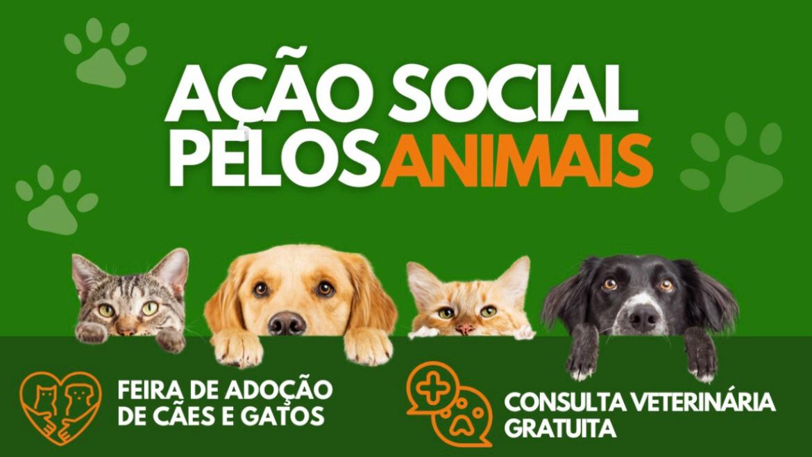 Evento em São Gonçalo oferece consultas veterinárias e serviços de cuidados gratuitos para cães e gatos no próximo sábado, dia 31